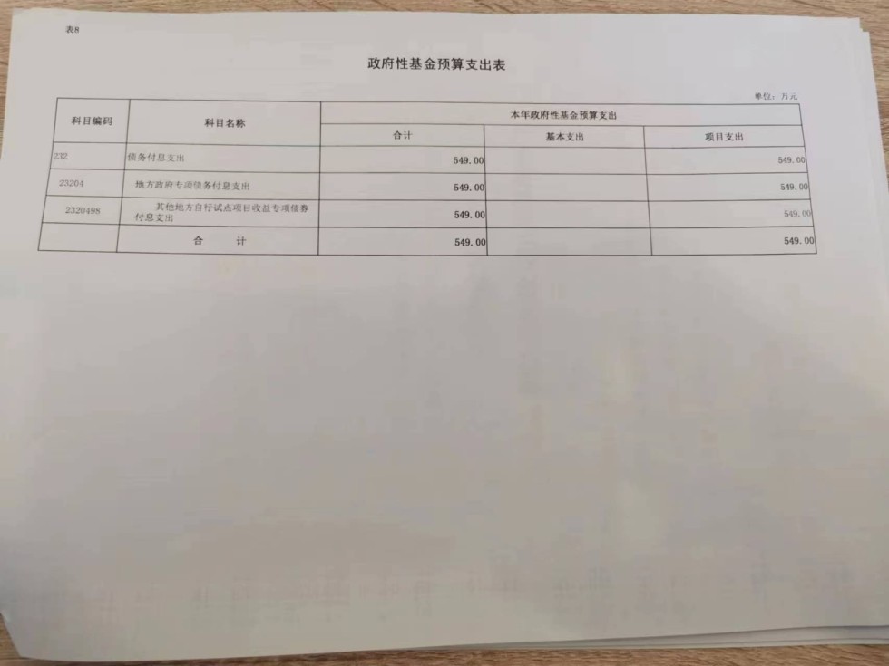 政府性基金预算表 (1).jpg