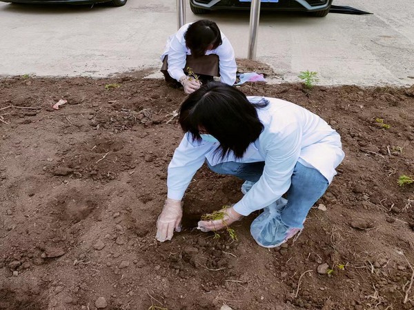 百草园建设2.jpg