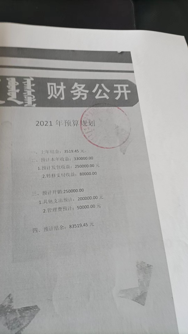 宜和德村2021年收入计划预算表.jpg