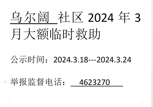 2024年3月大额临时救助.png